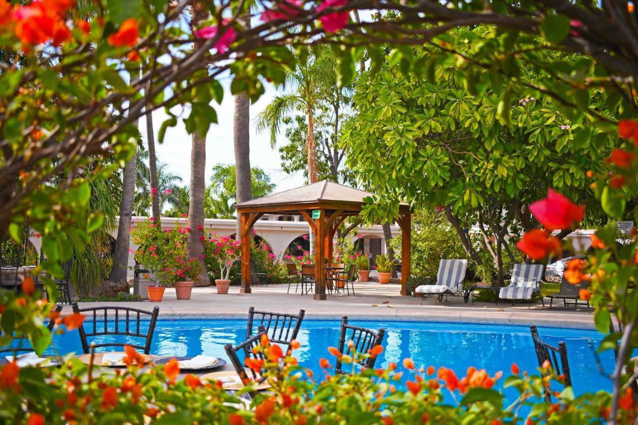 Hotel Del Rio Navojoa Zewnętrze zdjęcie